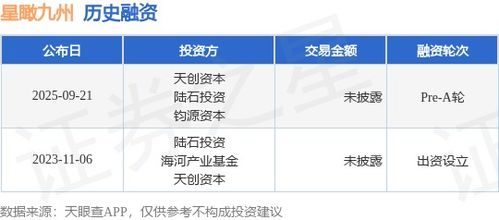 星瞰九州完成Pre-A輪融資，天創(chuàng)資本與陸石投資領(lǐng)投，加速信息技術(shù)咨詢業(yè)務(wù)發(fā)展