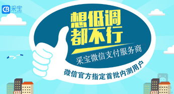 微信支付下線服務(wù)商采寶支付服務(wù)商代理的定義及其在信息技術(shù)咨詢服務(wù)中的作用