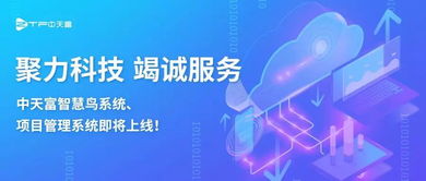 聚力科技攜手智慧鳥系統 項目管理系統即將上線，引領信息技術咨詢服務新篇章